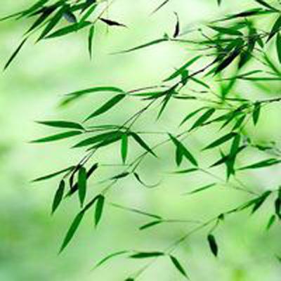 塔防精灵九游版下载